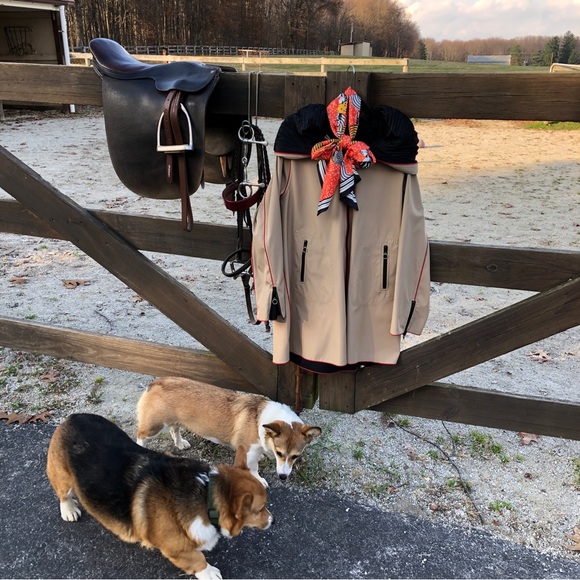 CLOSET CLEAN OUT is more fun with FRIENDS! Like this Listing TODAY  3:30 EST - Picture 15 of 16